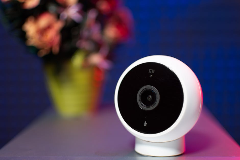 Videocamera di sicurezza per smart home
